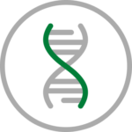Icon depicting a DNA strand